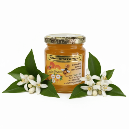 MIEL D'ORANGER 250 gr : Excellence & Tarif Compétitif