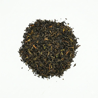 the noir early morning