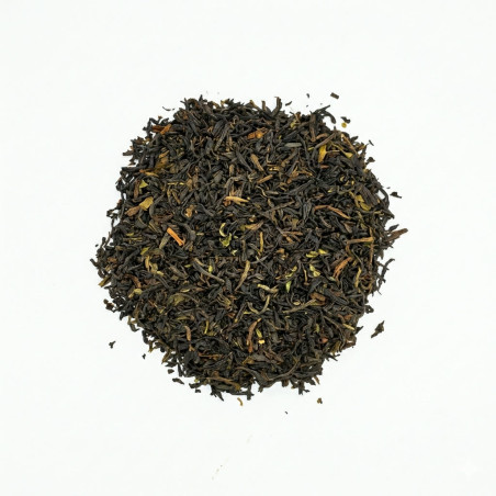 the noir early morning