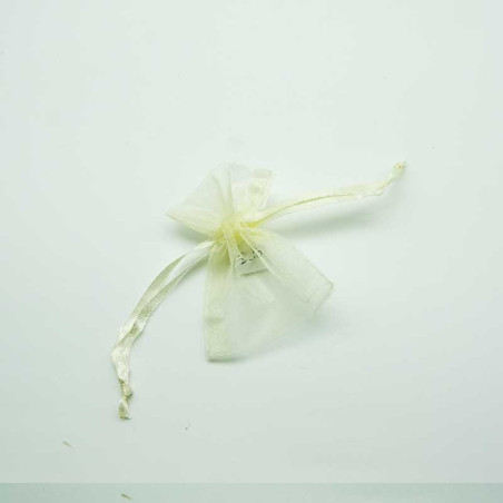 Spécialité Organza Petit Modele : Incontournable & Pas Cher