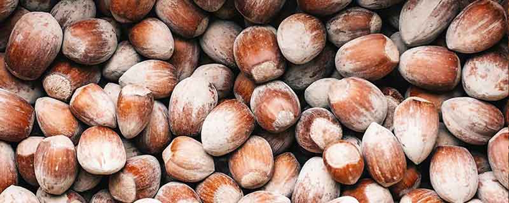 Les Bienfaits des Amandes et Noisettes